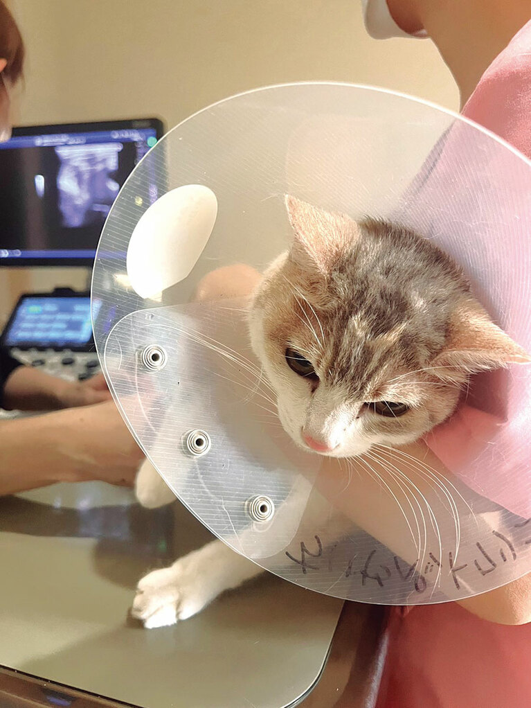 いまも検査はちょくちょく受けています。