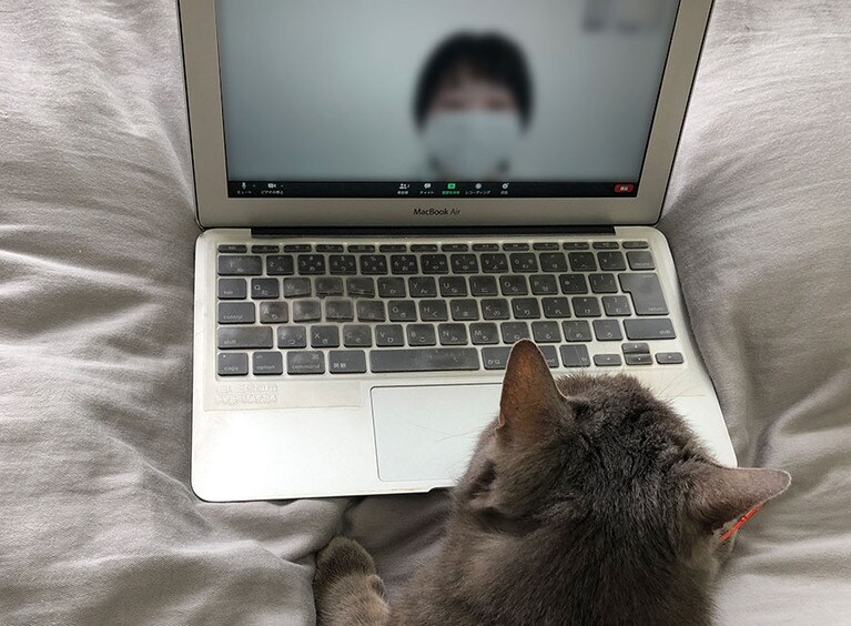 デスクFの熱のこもった話ぶりに、愚猫も聞き入っています。