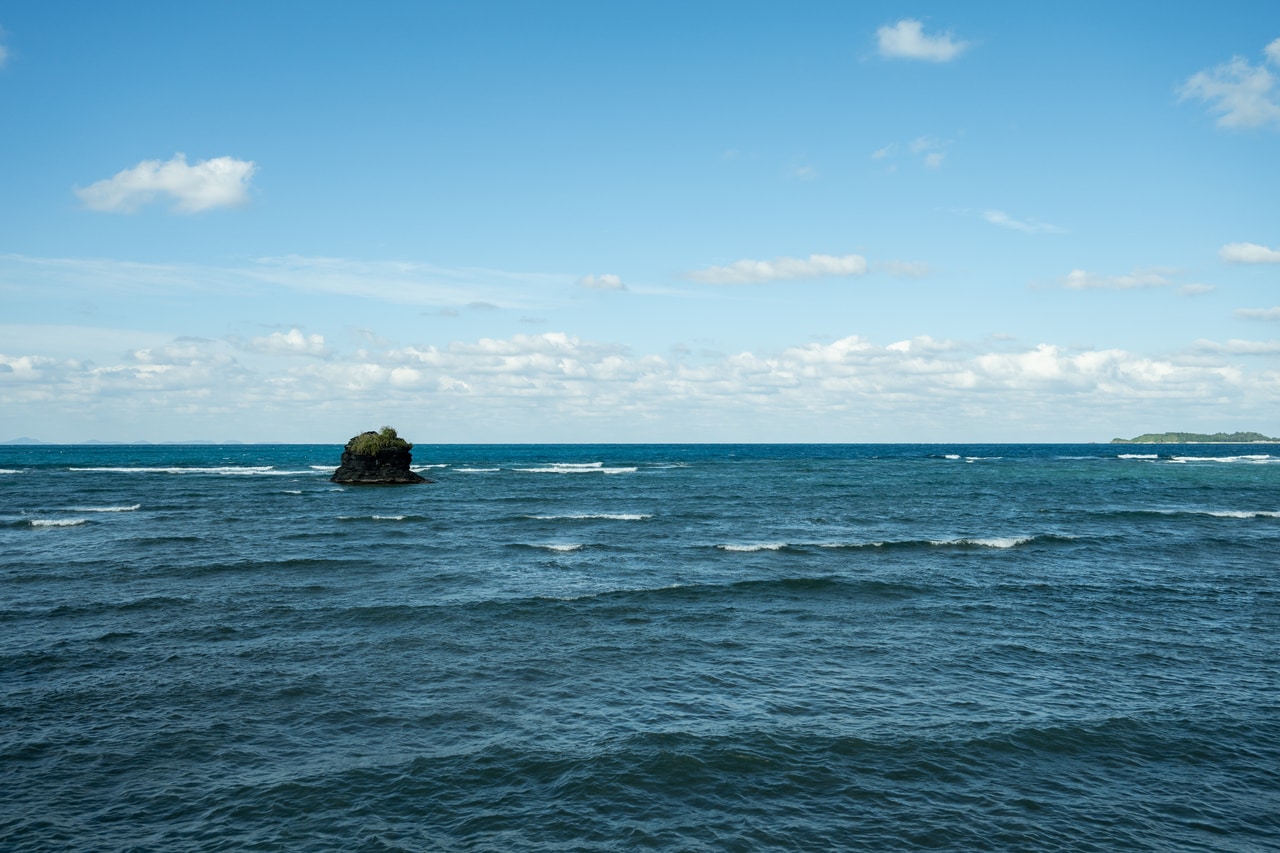 沖縄本島北部のやんばると呼ばれる地域には豊かな自然が広がる。豊かな自然に抱かれる旅もエシカル旅の魅力だ。