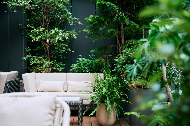 緑をふんだんに配して、ゲストに安らぎをもたらすノーガホテル 秋葉原 上野の館内。