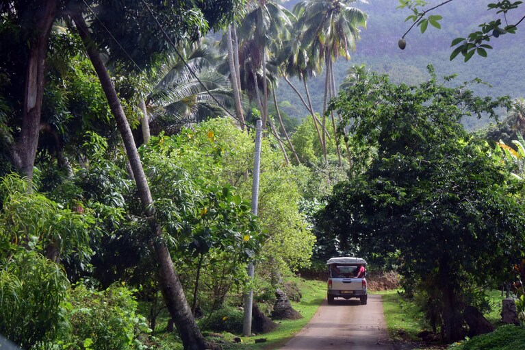 ピックアップバンの荷台は、荷物のみならず人も乗る場所。