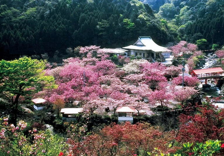 一心寺。