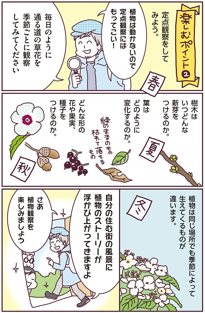 『まちなか植物観察のススメ』より。