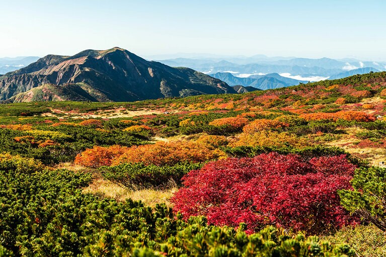 【石川県】白山公園線沿線。