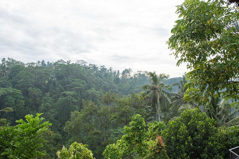 静寂の森に位置する「星のやバリ」。ウブドの市街地からは車で45分ほど。