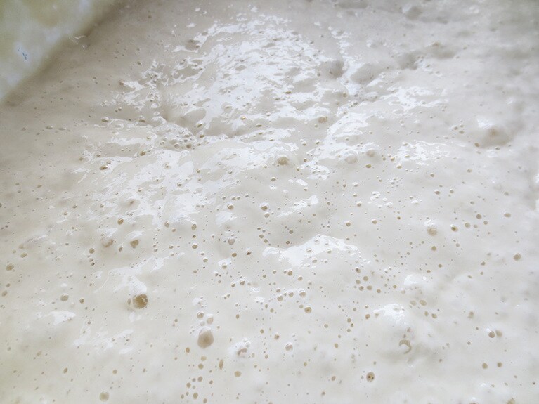 はとむぎで起こした自家製酵母。