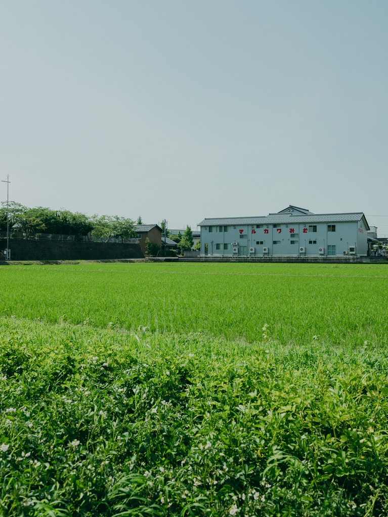 2025.06.20 福井県越前市。