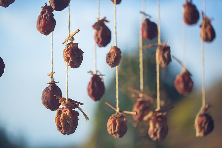 干し柿や鰹節も自家製。