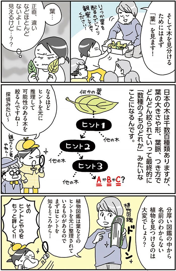 『まちなか植物観察のススメ』より。