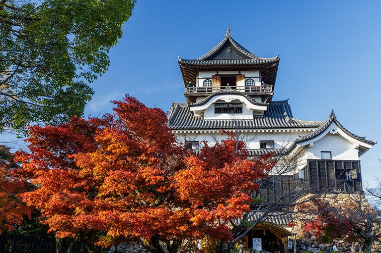 犬山城と紅葉。