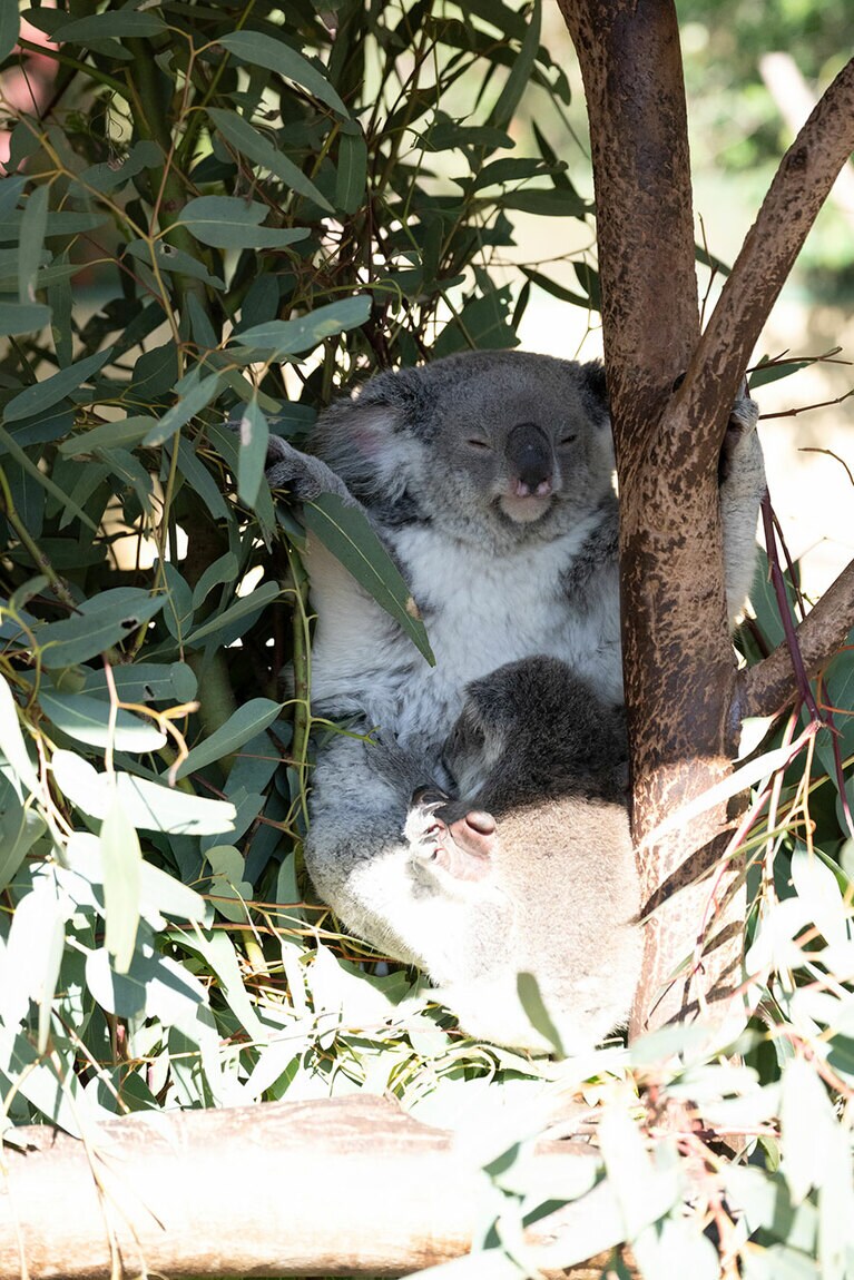 寝てしまいました。