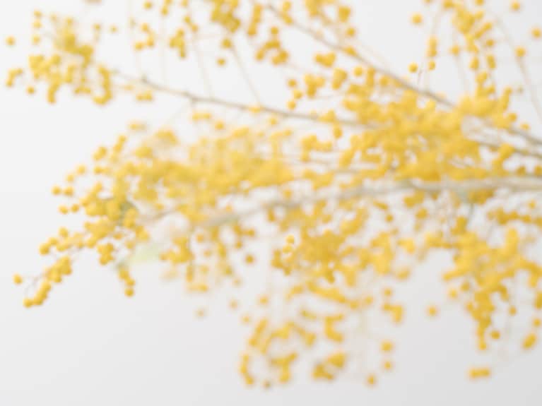 肌への刺激をいかに減らせるかが黒ずみを予防するポイント。