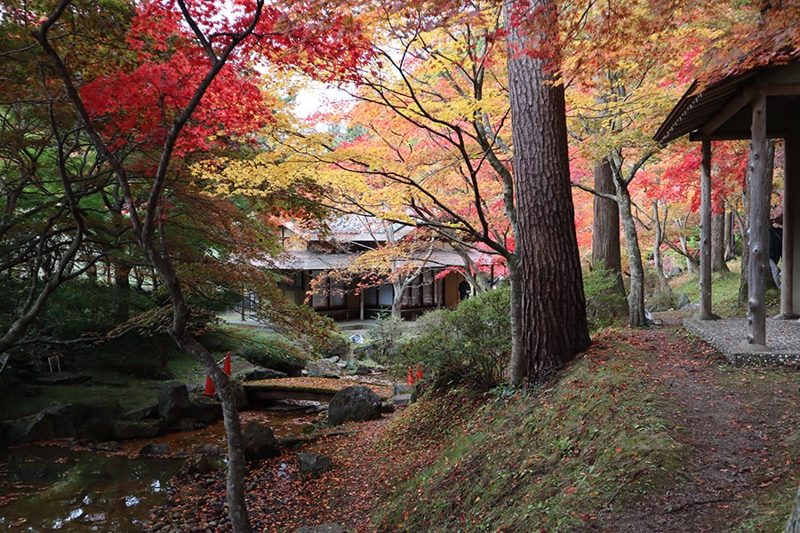 道の駅なんごう「カッコーの森エコーランド」の紅葉。