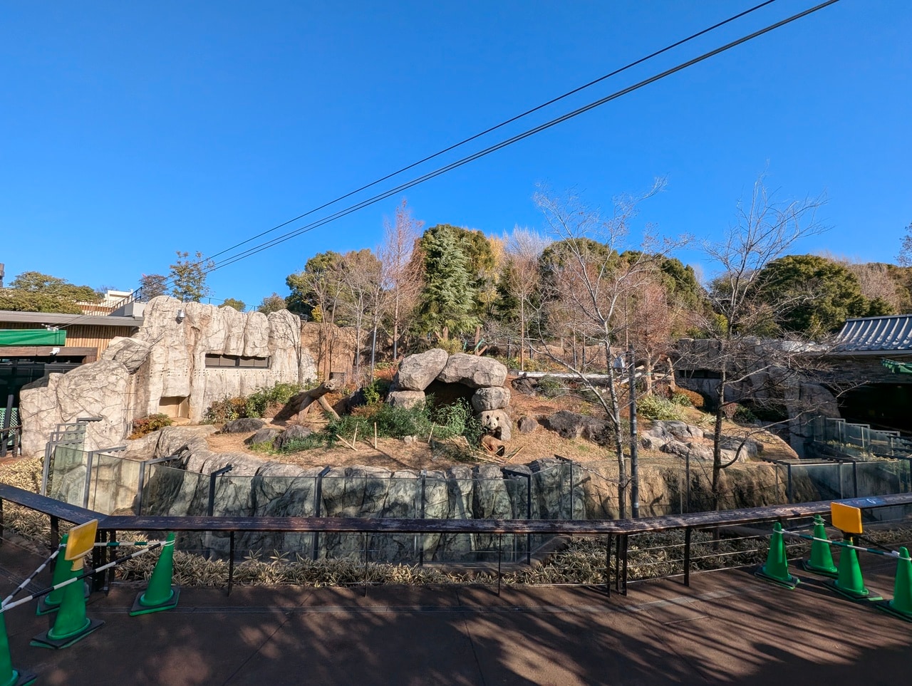 ほら穴の前で竹を食べるシャオシャオ。パンダが中国へ渡った後、観覧通路（写真手前）は2026年2月10日（火）～3月1日（日）に開放された。現在は入ることができない。（2025年12月26日、筆者撮影）