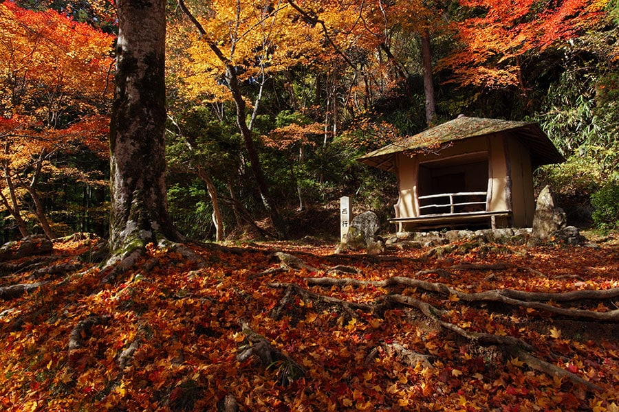 西行庵の紅葉。