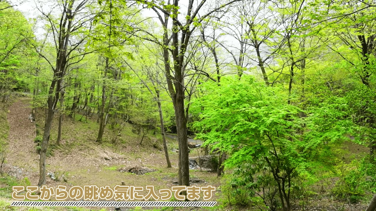 栃木県の山中にポツンとある井上咲楽さんの実家（井上咲楽さんの公式YouTubeチャンネルより）