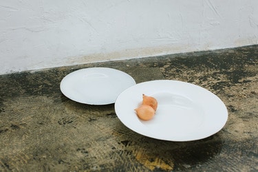 繊細な筆使いとセンスに驚愕必至 藤田佳三の染め付け皿が欲しい