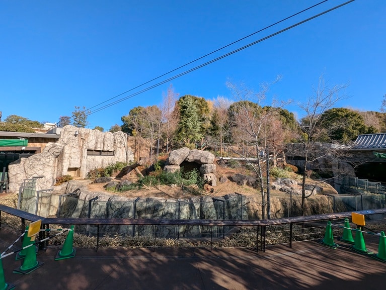 ほら穴の前で竹を食べるシャオシャオ。パンダが中国へ渡った後、観覧通路（写真手前）は2026年2月10日（火）～3月1日（日）に開放された。現在は入ることができない。（2025年12月26日、筆者撮影）