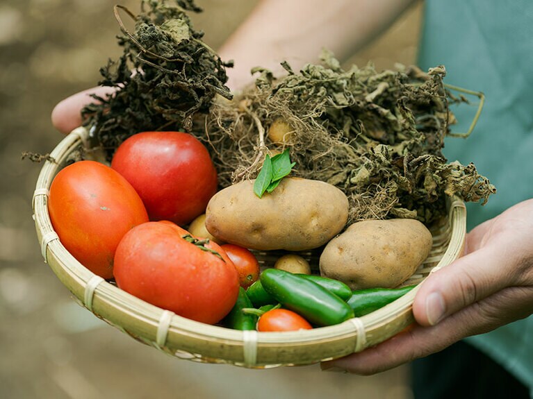 養魚場の生け簀だった場所を自家農園に。／Satologue.［東京／奥多摩］