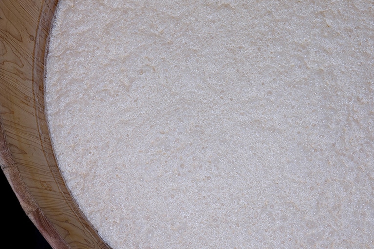 発酵中の日本酒の様子。小さな泡がいくつも確認できる。発酵活動が起こり、日本酒になっていく過程が見て取れる。新井‘Lai’政廣（C）2023Patagonia, Inc.