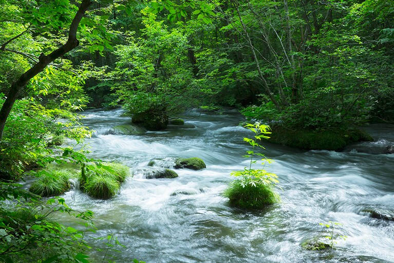 星野リゾート 奥入瀬渓流ホテル［青森／奥入瀬渓流温泉］さまざまな流れが合流する三乱（さんらん）の流れ。