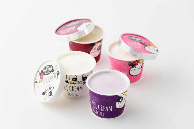 アイスクリーム 各356円（120ml）。※手前から時計回りに：ブルーベリー、バニラ、ラムレーズン、ストロベリー。