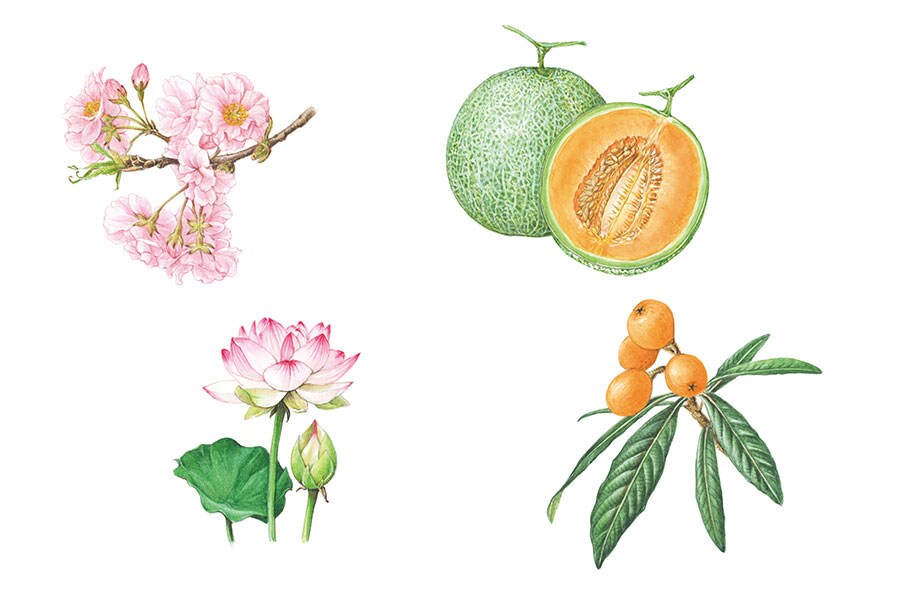 ITRIMのオリジナル原料の一部。ビワ葉エキスは長崎産のビワの葉から抽出。芳香成分を含み、多機能な作用があることから水溶性と油溶性のエキスを作り、全品に配合している。ビワの種子、蓮花、桜花はパウダーにして新商品のスキンケアパウダー(3種)に採用された。左上から時計回りに：サトザクラ(桜花)、メロン種子油、ビワ葉エキス、蓮花。