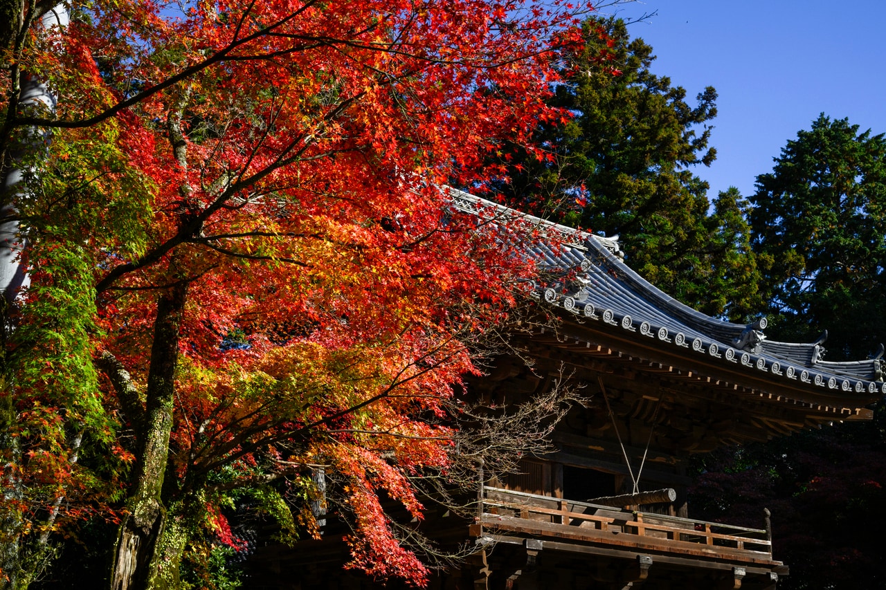 書寫山圓教寺。