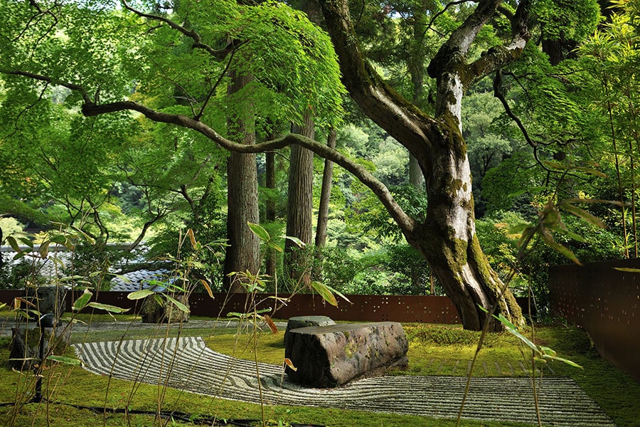 枯山水の中に入り、景色との一体感を楽しむ「奥の庭」。