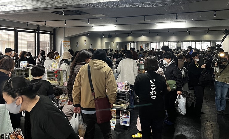 人はたくさんいたけれど、皆さんマナーよく猫たちを見ていました。