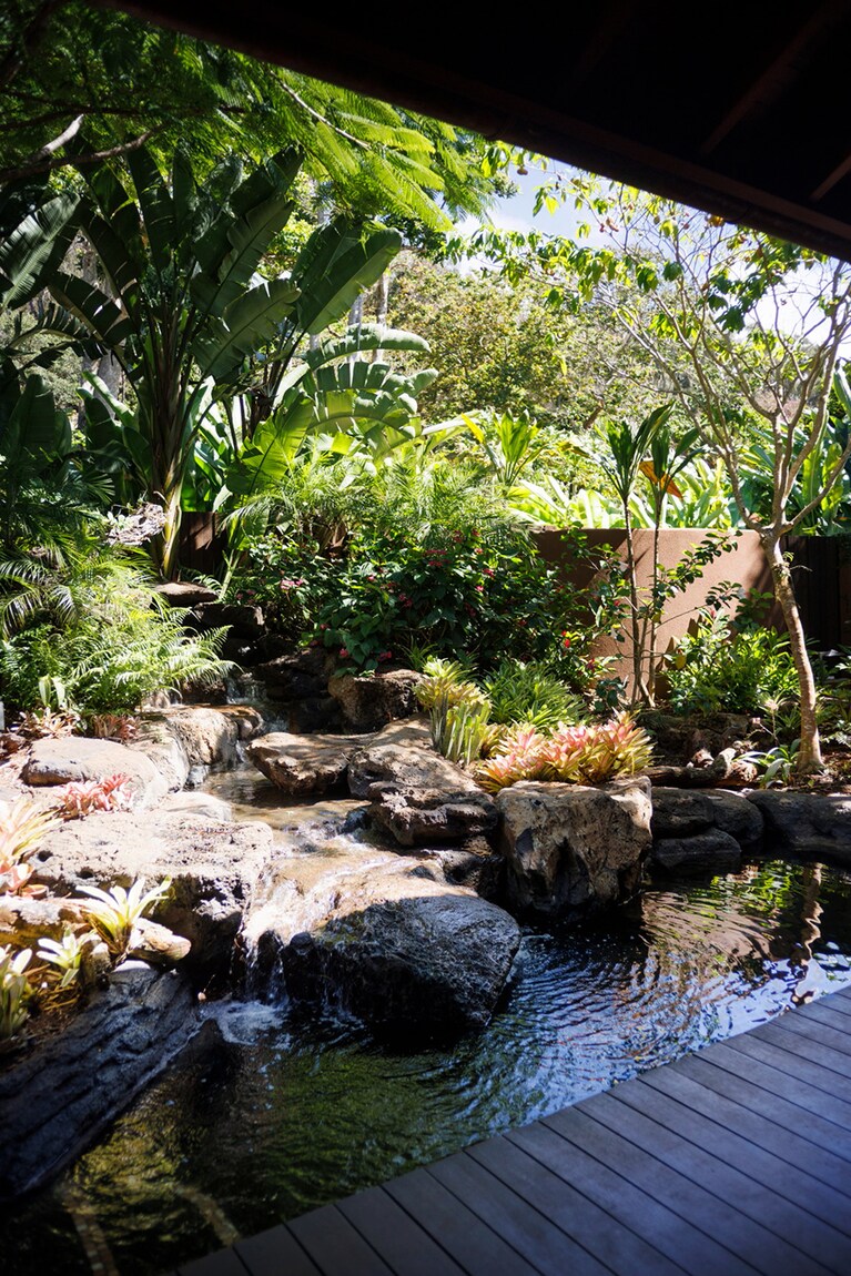 「スパハレ」。