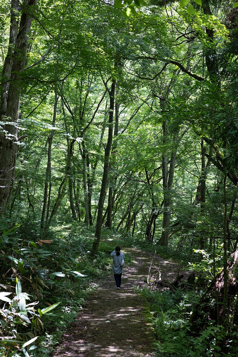 森林浴をすると、心が癒されていくかのよう。