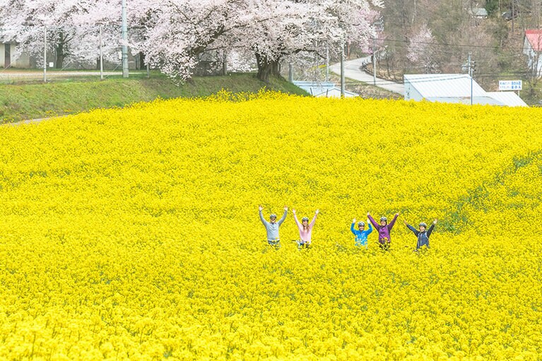 飯山市 菜の花公園。