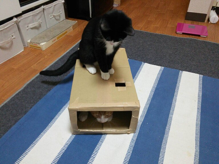 手作りのおもちゃ、たくさん作りました。