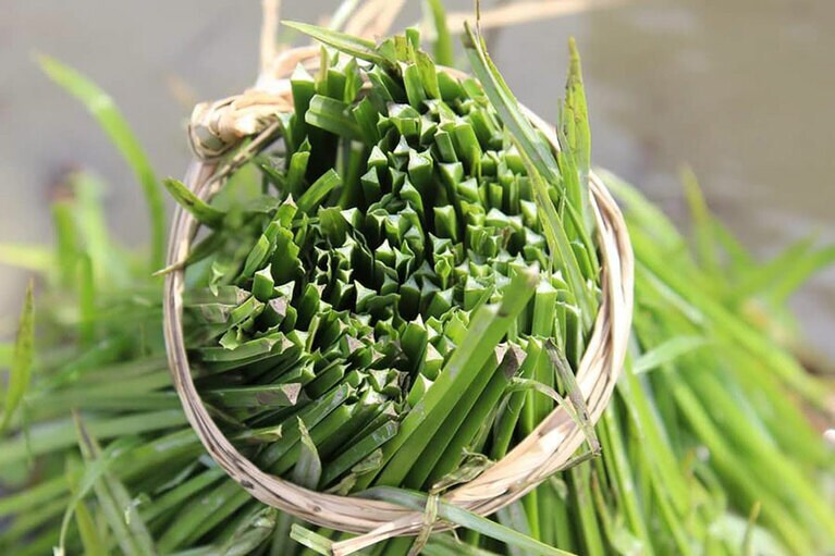 断面が三角形なのが特徴。