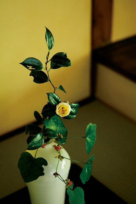 【あさば】部屋の設えは、掛け軸と花のみ。Photo: Takafumi Matsumura