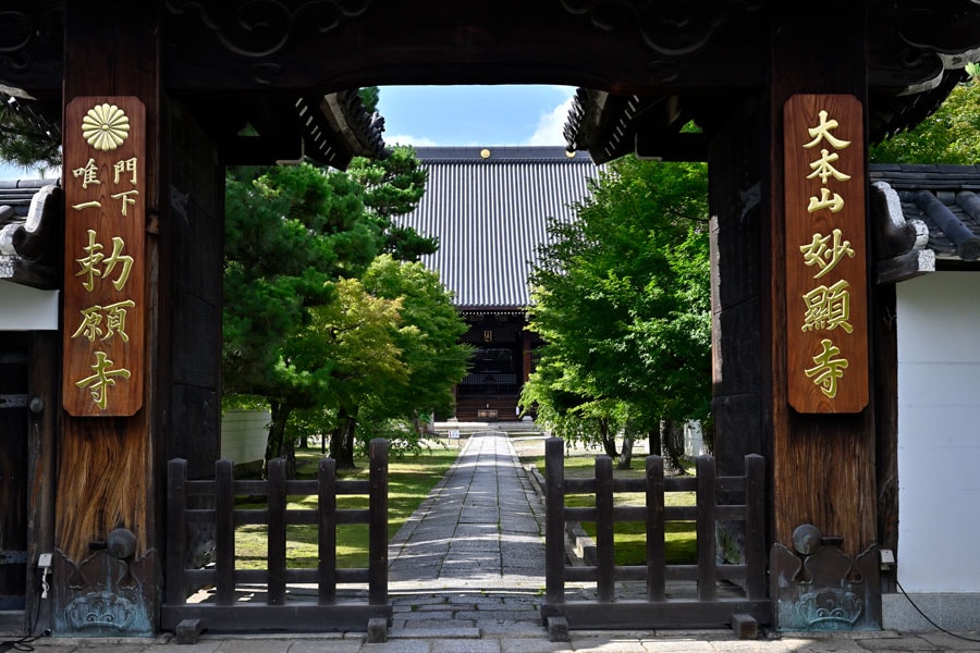 妙顯寺は京都における日蓮宗最初の寺院。本能寺の変後は豊臣秀吉が京都の宿所とし天下を握ってゆく間の重要な政治的拠点だった。「四海唱導の庭」をはじめ庭の美しさは随一。
