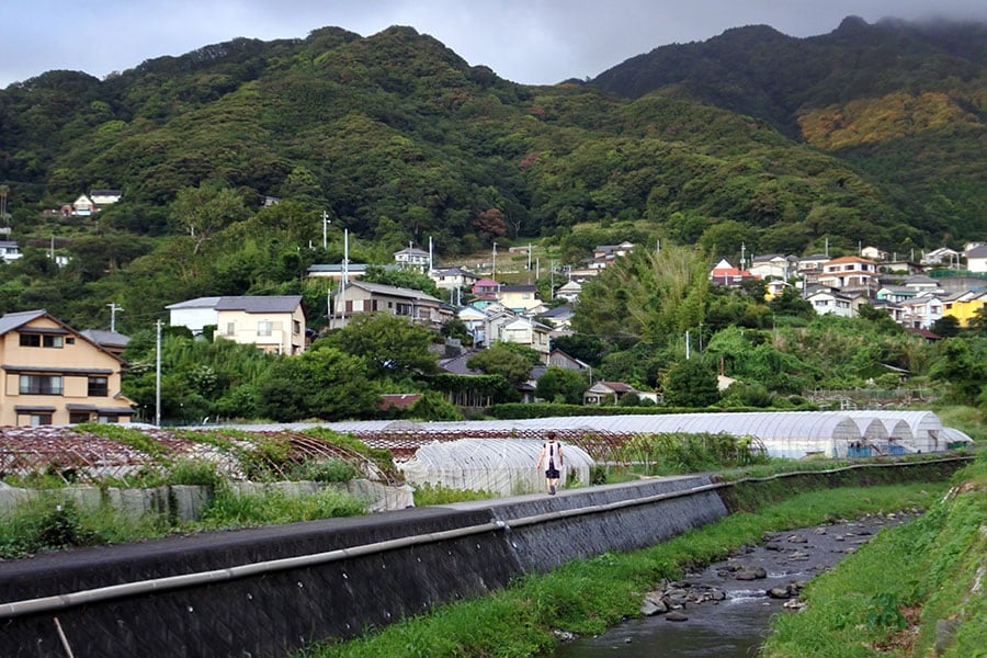 田子には3つの集落があり、こちらは大田子の集落。農業が主流です。