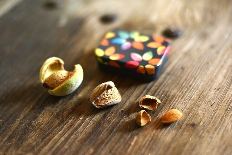 左から熟して果皮が弾けたアーモンド、果皮の中、殻をむいた種子。私たちが食べているのは種子の部分だ。果皮や殻の有効利用の研究も続けられている。