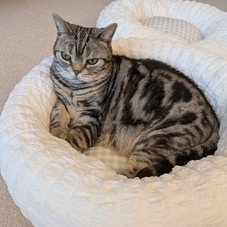 ジャコ助くん。