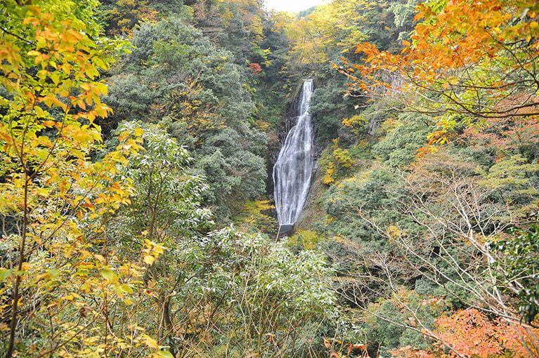 船上山。🄫鳥取県