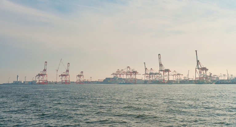 コンテナ貨物などの積み下ろしをするための巨大クレーン。休憩している姿がキリンに見えることから、“キリンクレーン”という愛称で親しまれています。