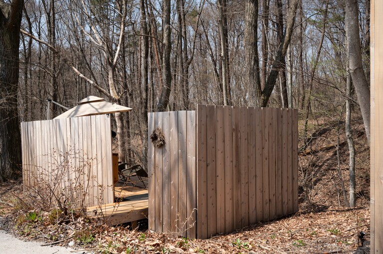 目の前に広がる国有林。誰にも邪魔されない空間ゆえの没入感がたまらない。