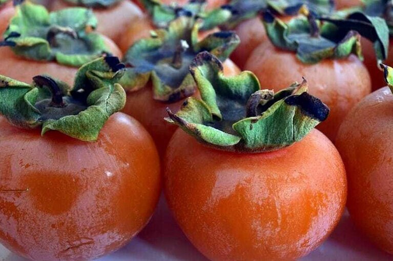 今にも破裂しそうなほどパンパン。