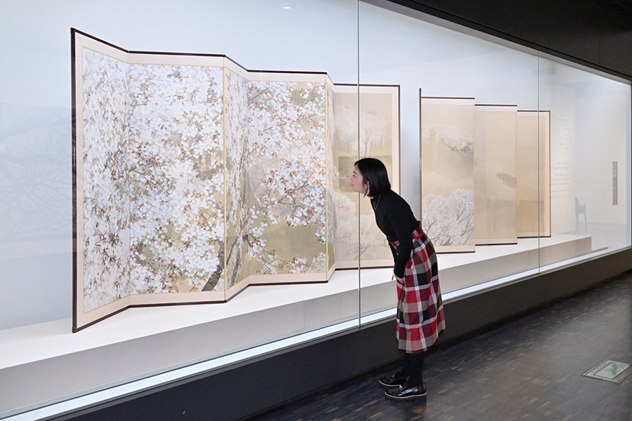 京都四条派の日本画家、菊池芳文の《小雨ふる吉野》（1914年）。桜の花に降る小雨や水滴の描写は息を呑むほどの繊細さ。
