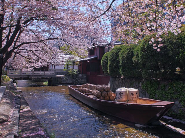 幕末の勤皇の志士も暮らした歴史の舞台木屋町で高瀬川沿いをそぞろ歩きしよう