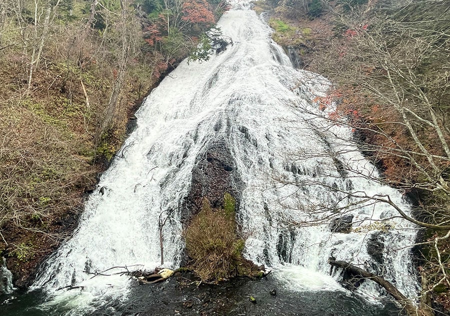 滝壺の水は少し濁っていますが、これは水源の湯ノ湖に温泉が湧き出ているからだそう。目視はできませんでしたが、実際には水中にたくさんの魚が泳いでいるそうです。