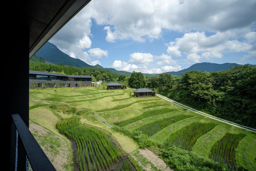 すくすくと育った稲が風にそよぐ夏の棚田は、生命力にあふれている。