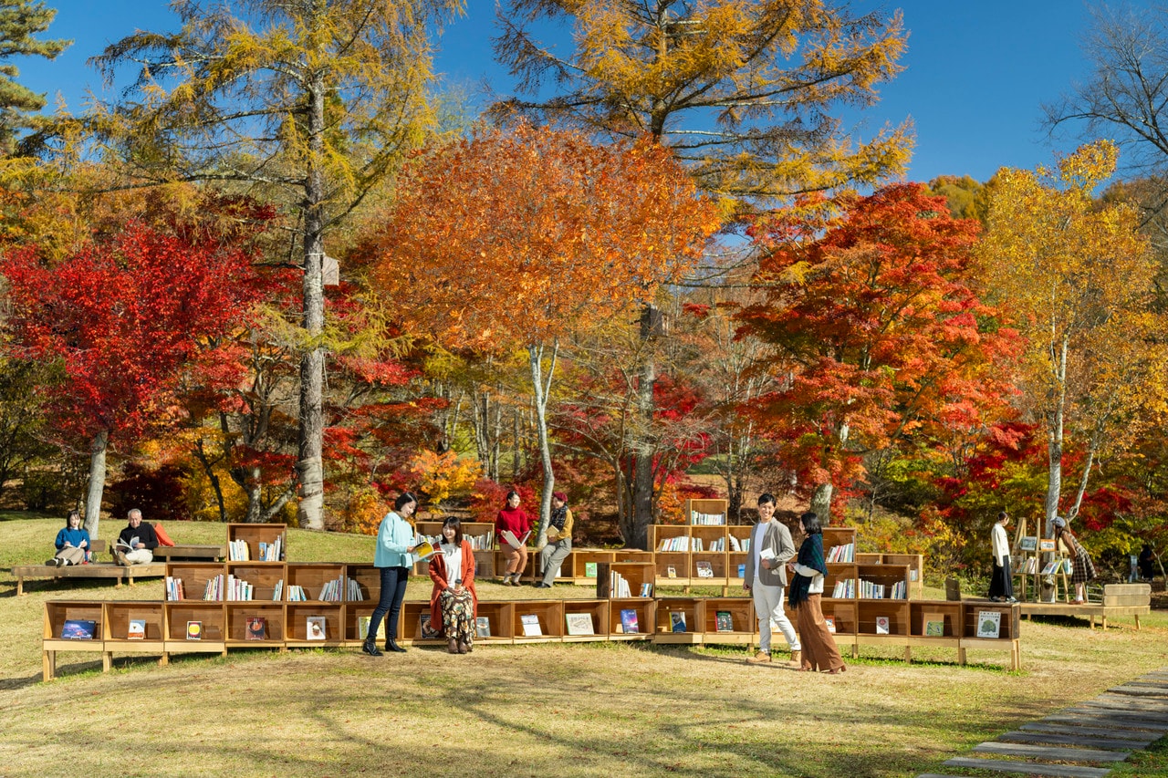 カラマツの丘に木製本棚が並ぶ、紅葉図書館メインエリア。
約2,000㎡の「カラマツの丘」が、秋の読書空間に