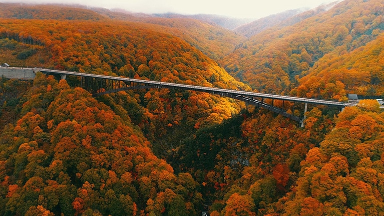 城ヶ倉大橋の紅葉。